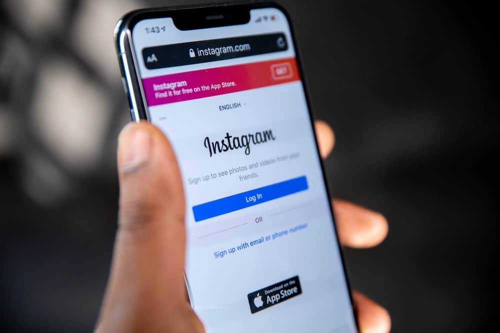 how-to-add-a-wordpress-instagram-feed-instagram-screenshot