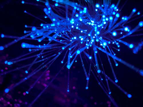 how-to-speed-up-your-wordpress-website-network-fiber-image