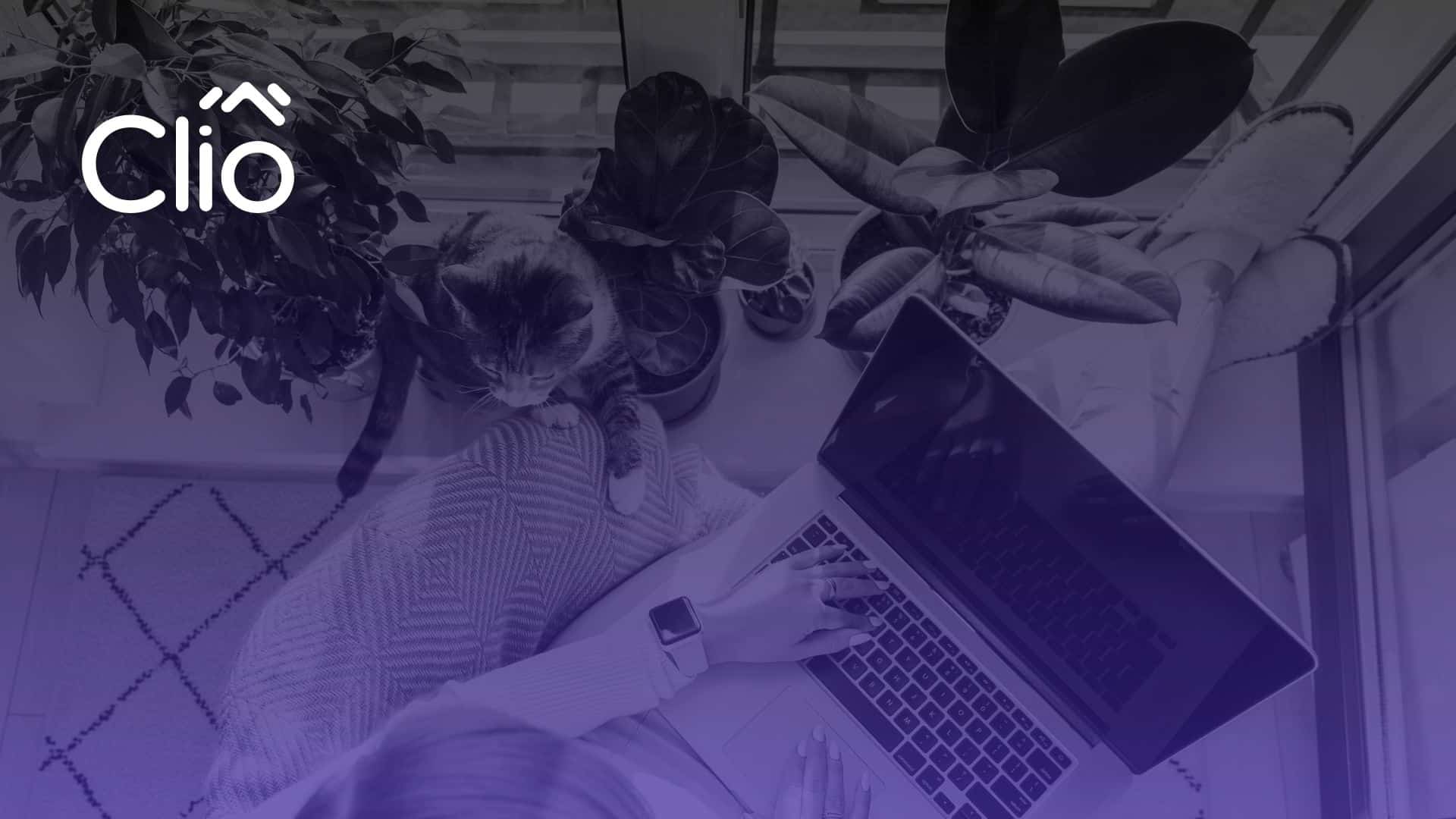 Top-down view of a person using a laptop on their lap near a window, with a cat and potted plants beside them—perhaps researching questions to ask freelance developers. The Clio logo appears in the upper left corner. - Clio Websites | Top Canadian Web Design Company