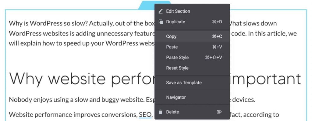 wordpress-duplicate-page-elementor-copy-screenshot-clio-websites