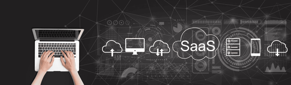 saas website cost