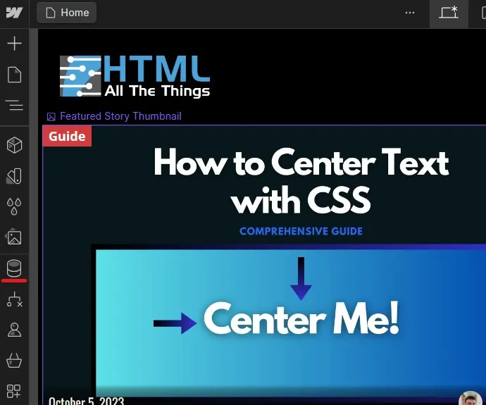 Webflow Designer CMS icon