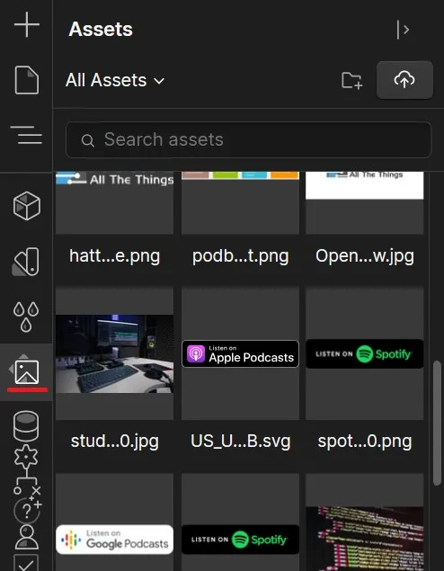 Assets panel in the Webflow Designer