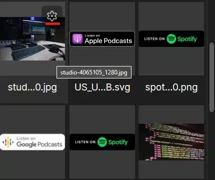 Asset settings from the Assets Panel