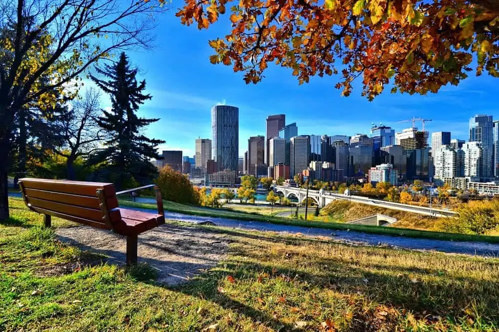 A park bench overlooks a city skyline with tall buildings under a bright blue sky. Autumn trees with colorful leaves frame the scene, while a bridge crosses the river—like WordPress and WooCommerce connecting people to vibrant urban life. - Clio Websites | Top Canadian Web Design Company