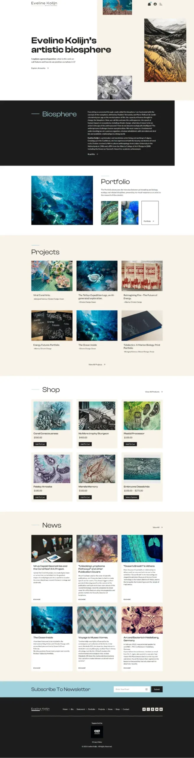Screenshot of a webpage showcasing Eveline Kolijn's artistic portfolio. It includes a biography section, project thumbnails of artwork, a shop with product images, news updates, and a newsletter signup form. - Clio Websites | Top Canadian Web Design Company