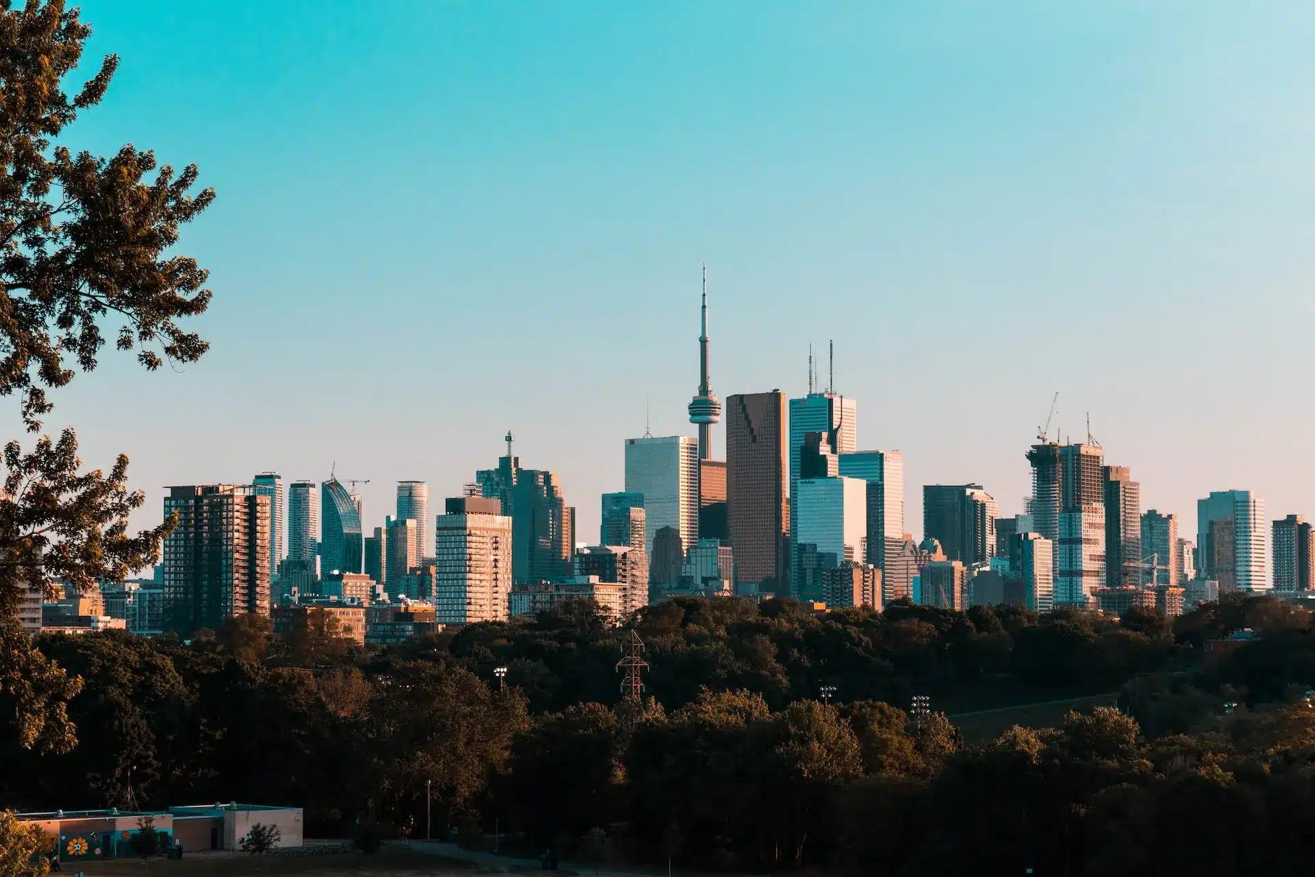 City skyline during daytime with a prominent tower in the center surrounded by various skyscrapers, much like the sleek precision of Toronto Web Design. The foreground features a line of trees under a clear blue sky. - Clio Websites | Top Canadian Web Design Company